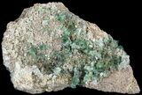 Large, Fluorite & Galena Plate - Rogerley Mine (Clearance Price) #32398-1